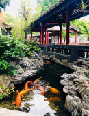 中国之窗|广东——风情岭南 美丽广东