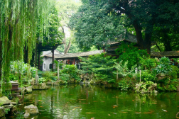 中国之窗|广东——风情岭南 美丽广东