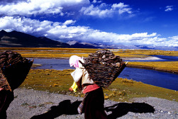 中国之窗|西藏——畅游幸福新西藏 共享地球第三极