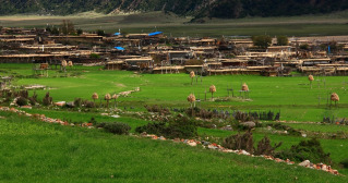 中国之窗|西藏——畅游幸福新西藏 共享地球第三极