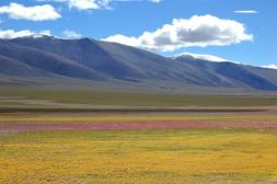 中国之窗|西藏——畅游幸福新西藏 共享地球第三极