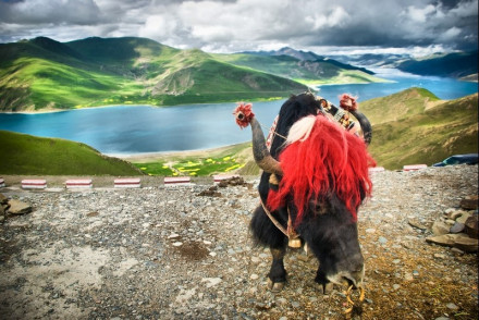 中国之窗|西藏——畅游幸福新西藏 共享地球第三极