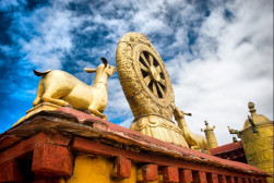 中国之窗|西藏——畅游幸福新西藏 共享地球第三极