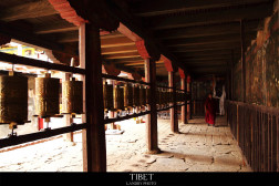 中国之窗|西藏——畅游幸福新西藏 共享地球第三极