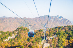 洛阳白云山森林