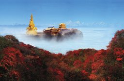 中国之窗|四川——天府三九大 安逸走四川