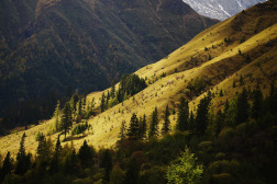 中国之窗|四川——天府三九大 安逸走四川