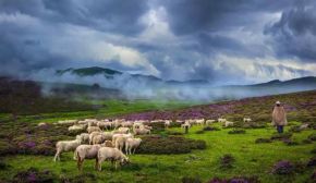 中国之窗|四川——天府三九大 安逸走四川