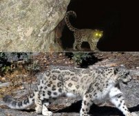 中国之窗|四川——天府三九大 安逸走四川