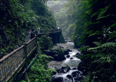 中国之窗|四川——天府三九大 安逸走四川