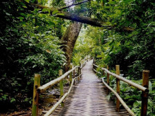 中国之窗|四川——天府三九大 安逸走四川