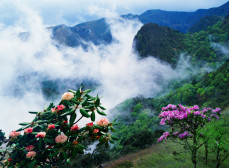 中国之窗|四川——天府三九大 安逸走四川