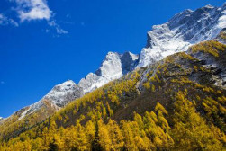 中国之窗|四川——天府三九大 安逸走四川