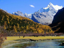 中国之窗|四川——天府三九大 安逸走四川