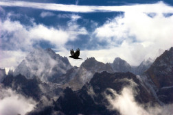 中国之窗|四川——天府三九大 安逸走四川