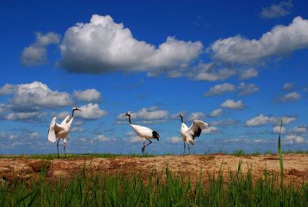 中国之窗|黑龙江——北国好风光 尽在黑龙江