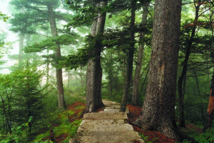 中国之窗|黑龙江——北国好风光 尽在黑龙江