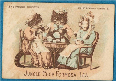 中国之窗|台湾——宝岛