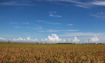 中国之窗|台湾——宝岛