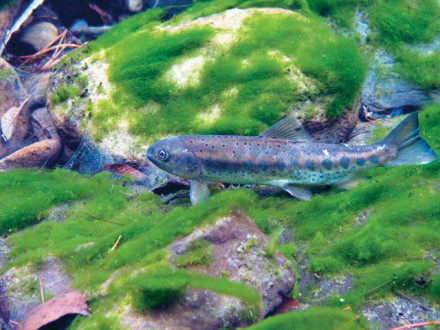 中国之窗|台湾——宝岛