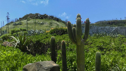 中国之窗|台湾——宝岛