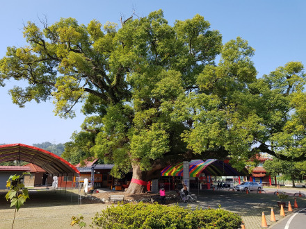 中国之窗|台湾——宝岛