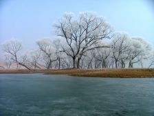 中国之窗|青岛——好客山东海阔天空,青岛请您来看胶东