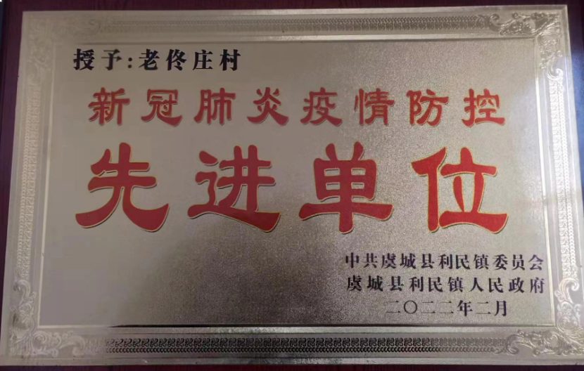 河南省虞城县利民镇老佟庄村最美支部书记-王森