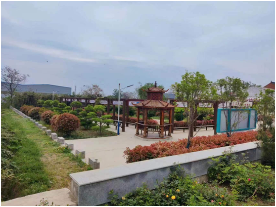 常袋镇半坡村:聚力“151”工作举措 开创乡村振兴新局面