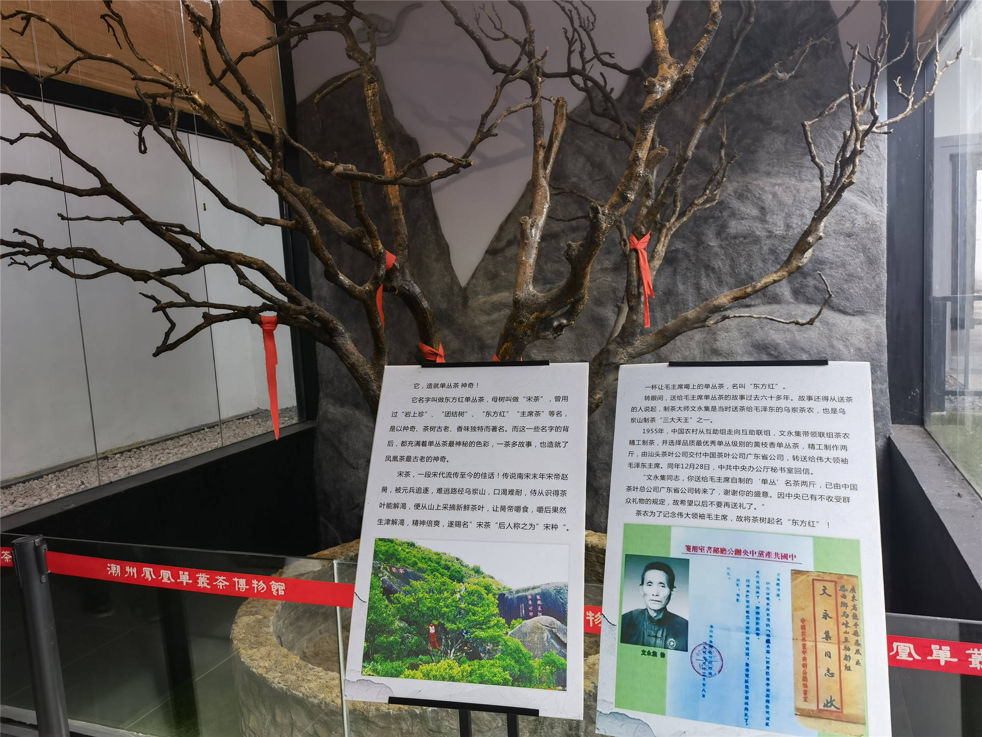 从宋朝“穿越”来的国宝级“功夫茶”,就藏在山海经中的“灵山”上?