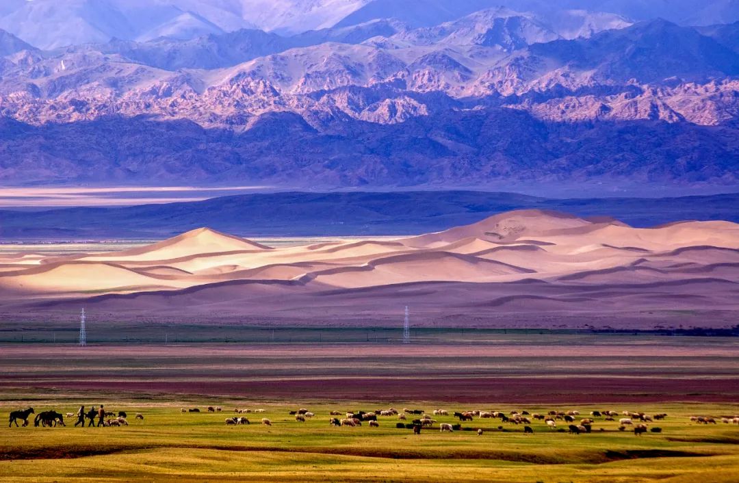 美丽中国 • 新疆篇丨大美新疆 绿色发展