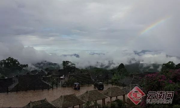 总面积76850亩 年产茶叶6180吨!云南这片茶园被认定为世界最大