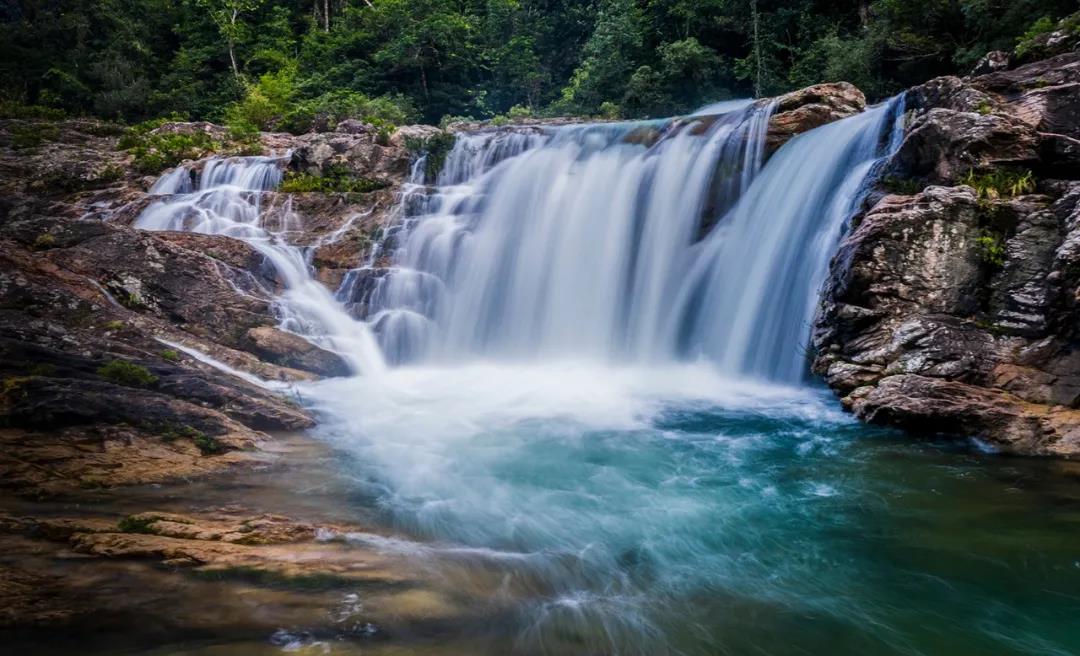 美丽中国 • 海南篇丨绿色正能量 美好新海南