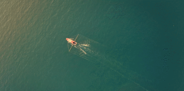 《航拍中国》第四季澳门篇:活力之城的精彩与繁华