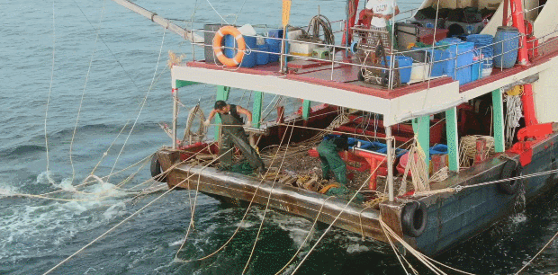 《航拍中国》第四季澳门篇:活力之城的精彩与繁华