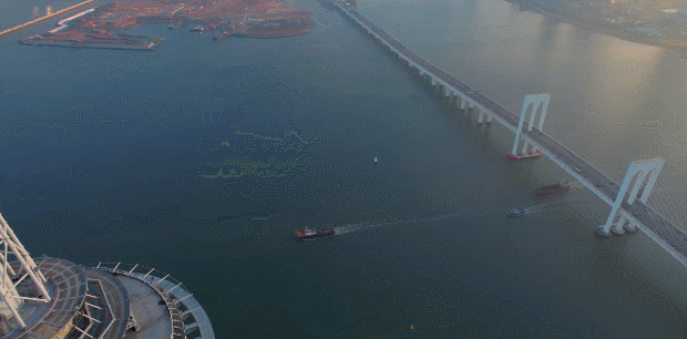 《航拍中国》第四季澳门篇:活力之城的精彩与繁华