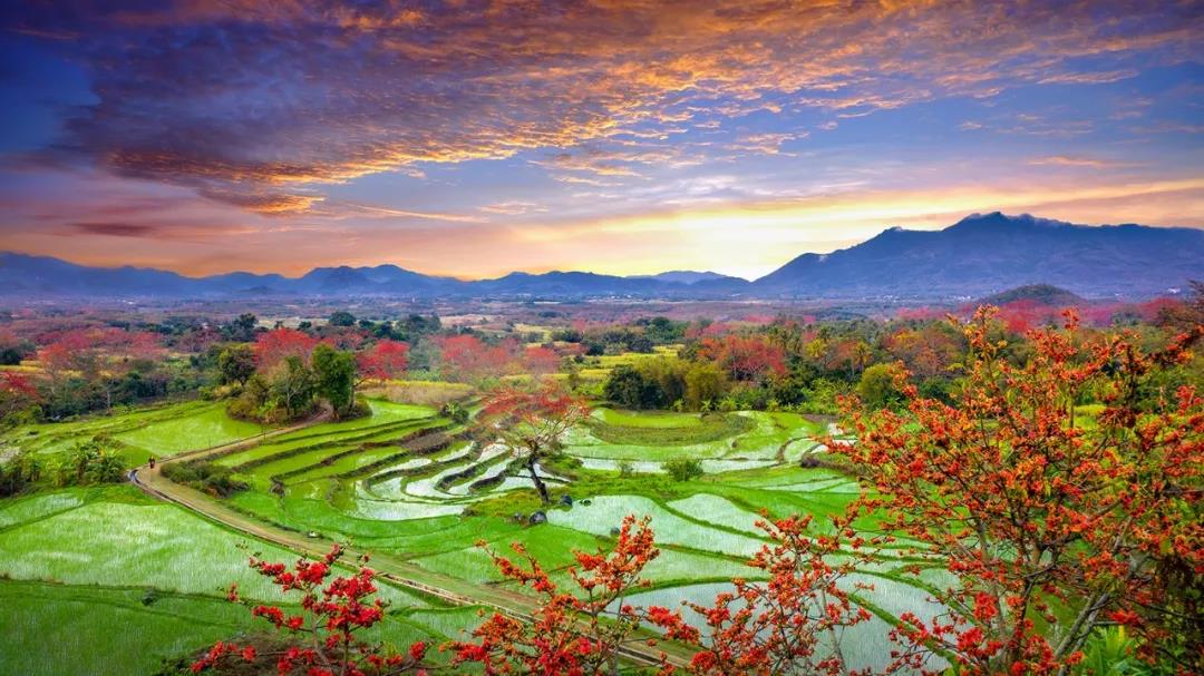 美丽中国 • 海南篇丨绿色正能量 美好新海南