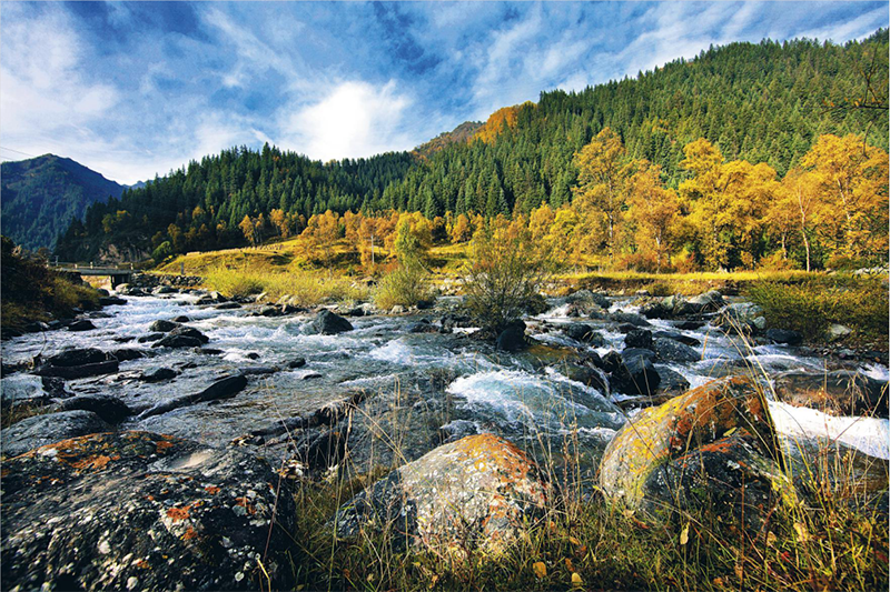 美丽中国 • 青海篇丨大美青海 生态高地