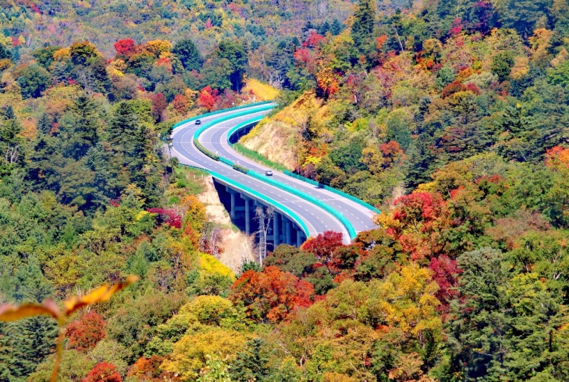 美丽中国 • 吉林篇丨守护白山松水 擘画生态吉林