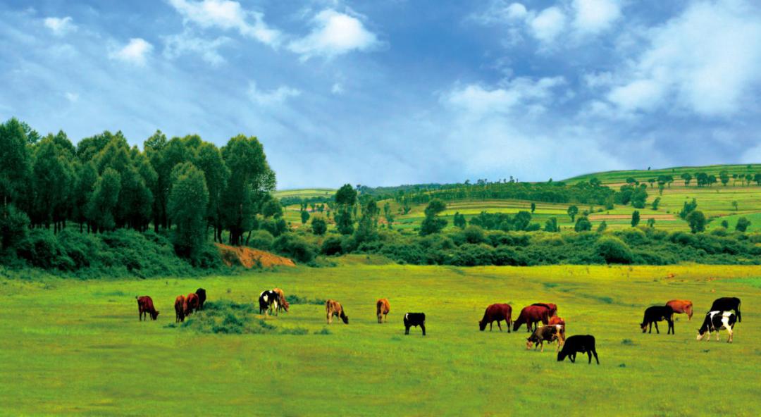 美丽中国 • 山西篇丨层崖翠接蔚蓝天