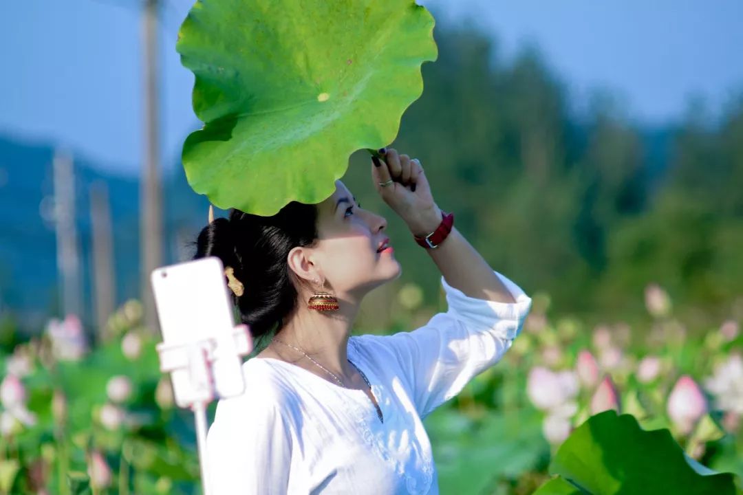 江西 ▏梦里桃源 画里上高