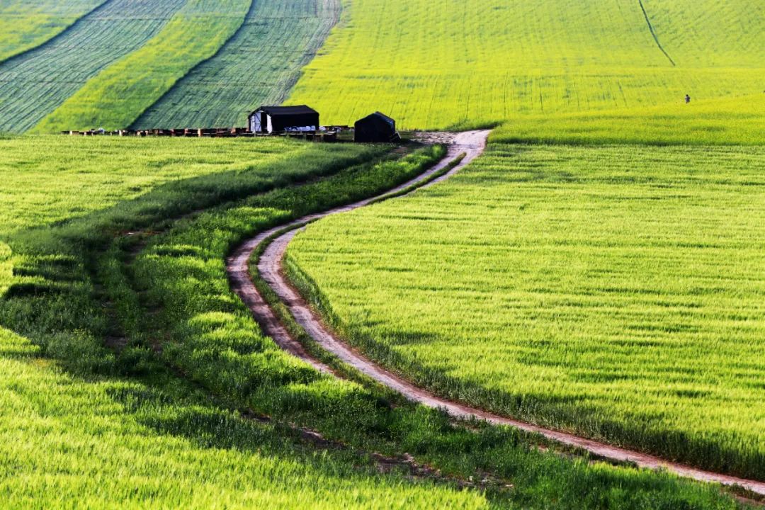 美丽中国 • 新疆篇丨大美新疆 绿色发展
