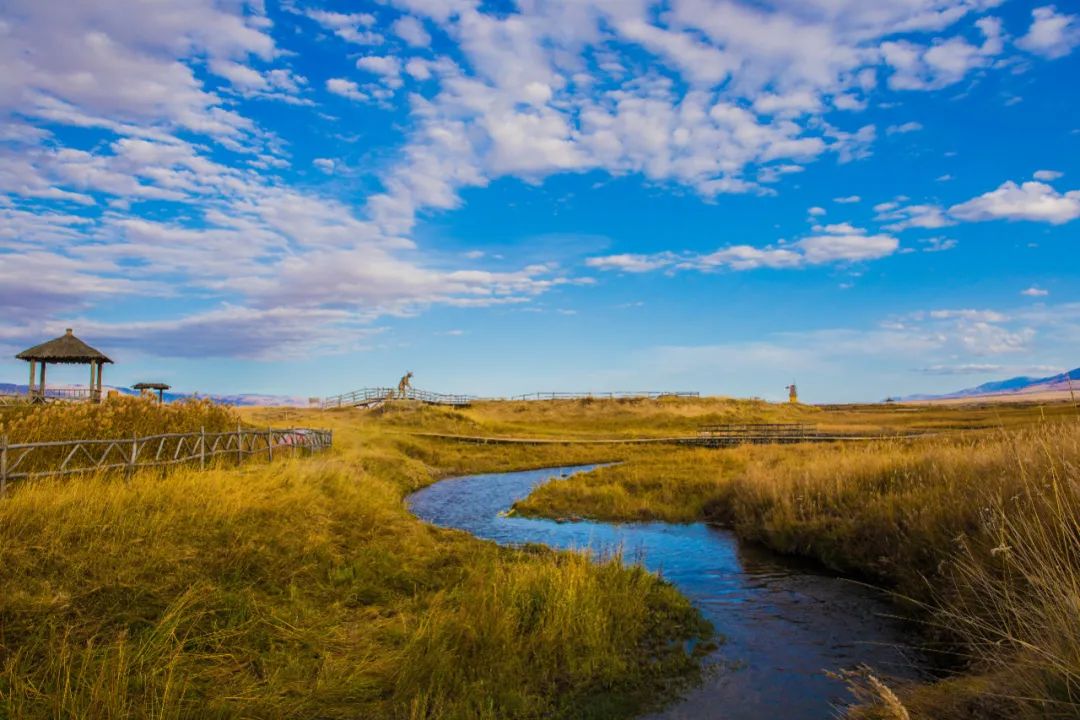 美丽中国 • 新疆篇丨大美新疆 绿色发展