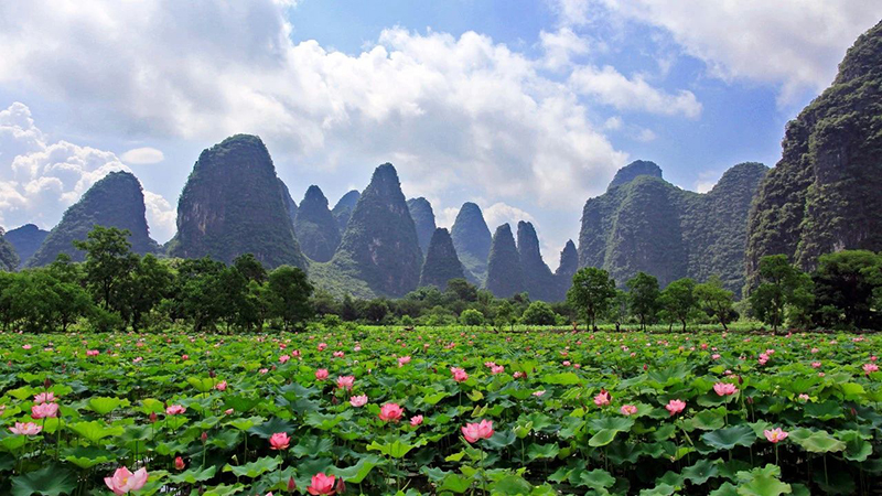 美丽中国 • 广西篇丨八桂山水,宛如画中游
