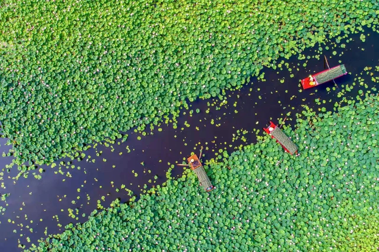美丽中国 • 辽宁篇丨青山绿水在辽宁