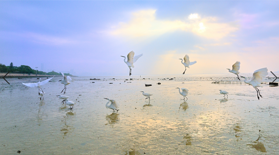 美丽中国 • 广东篇丨山河粤秀,大美广东