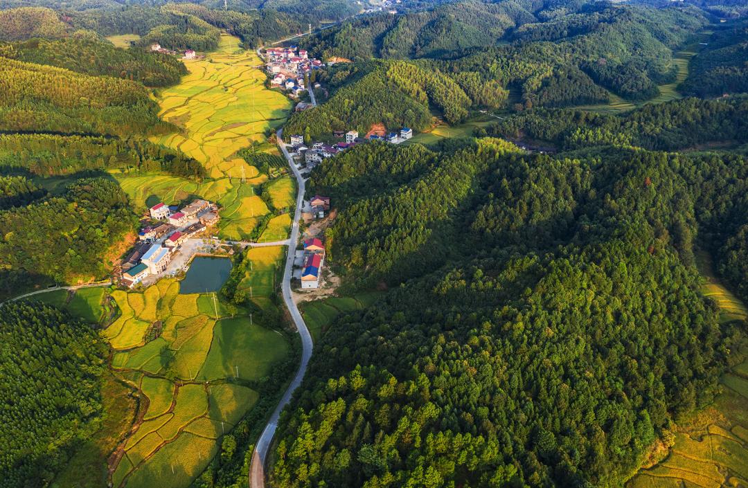 美丽中国 • 江西篇丨手握“红古绿”调色板 绘就“江西风景独好”新画卷