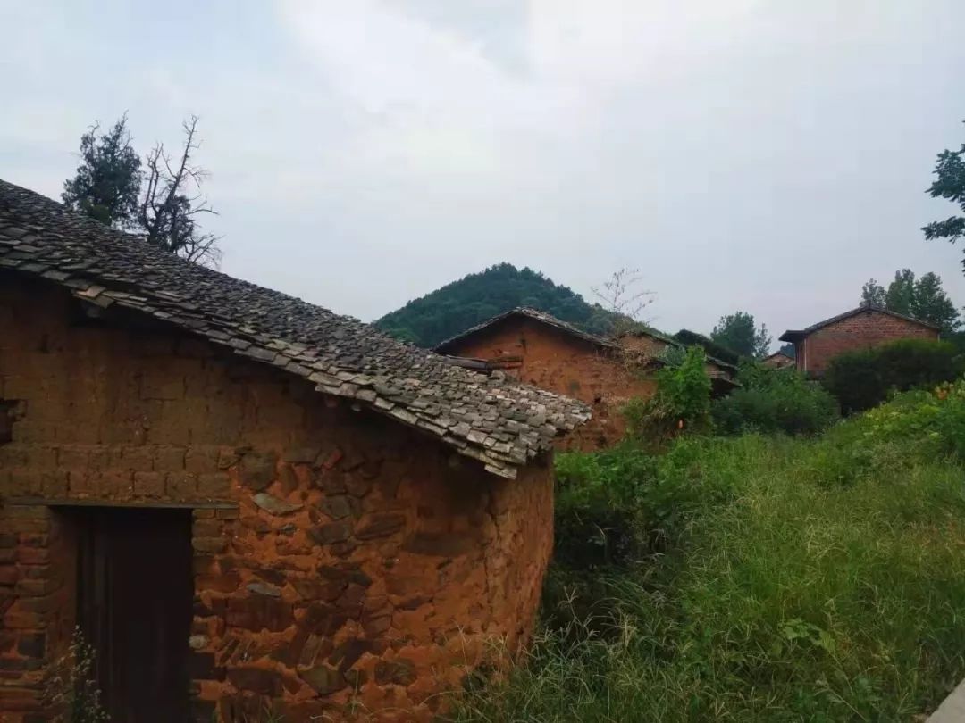 江西 ▏梦里桃源 画里上高