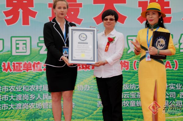 总面积76850亩 年产茶叶6180吨!云南这片茶园被认定为世界最大