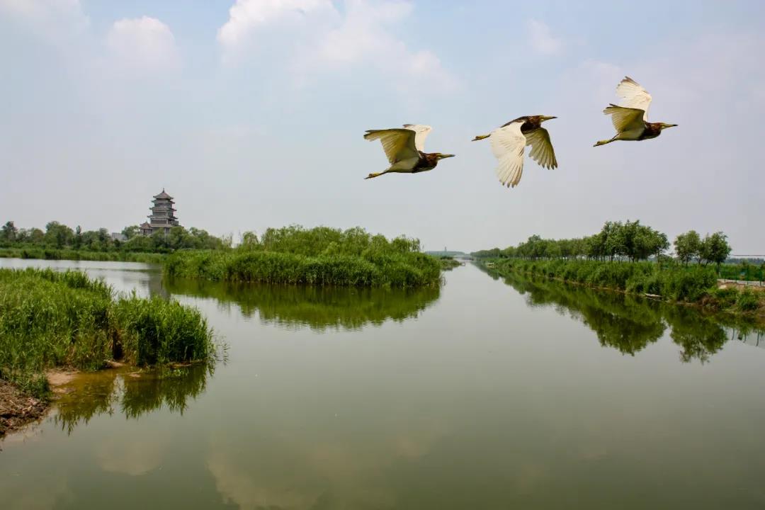美丽中国 • 山东篇丨齐风鲁韵,照见更美好未来